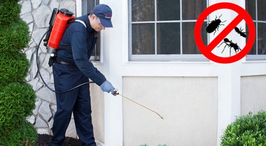 Çaykara Gümüşkurt İlaçlama böcek ilaçlama ve haşere kontrolü — ilaclama-tr.com